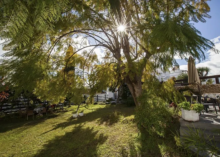 Carabeo San Salvador Apartment