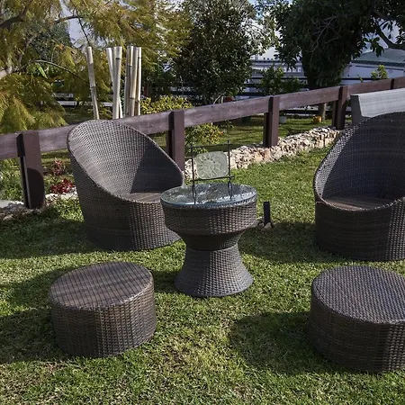 Carabeo San Salvador