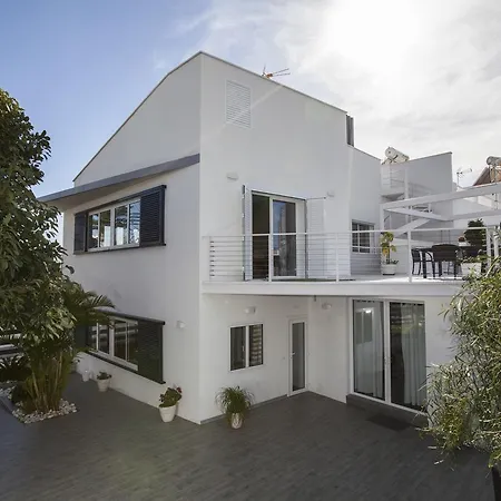 Carabeo San Salvador *