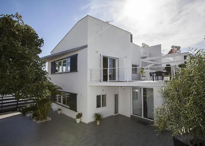 Carabeo San Salvador *